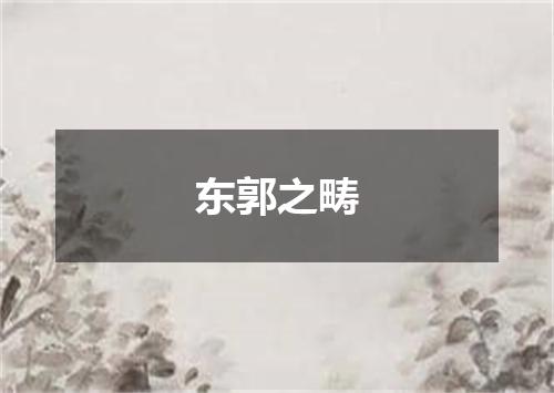 东郭之畴