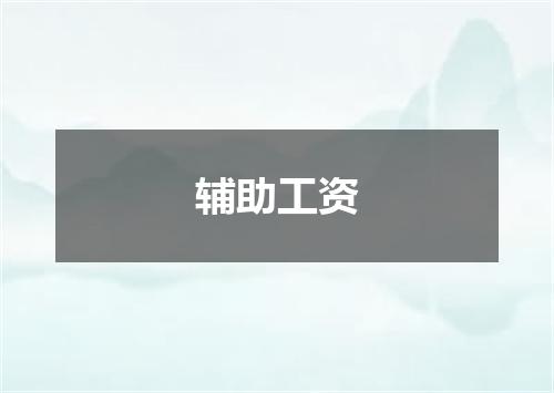 辅助工资