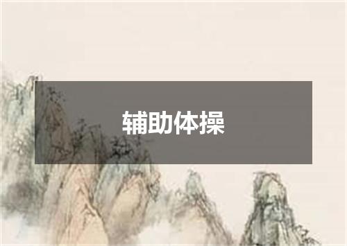 辅助体操