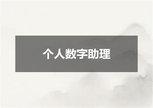 个人数字助理