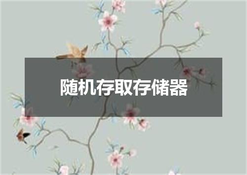 随机存取存储器