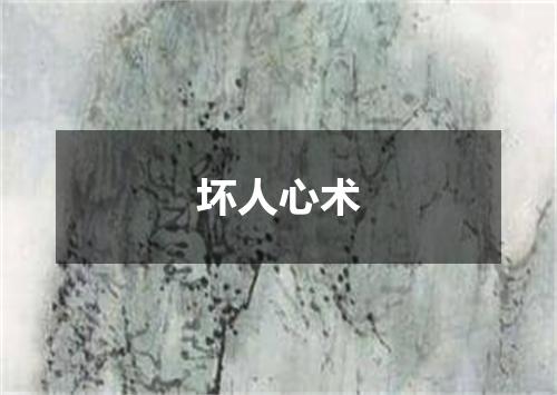 坏人心术