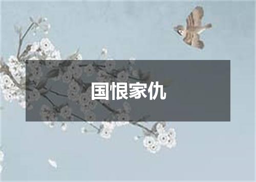 国恨家仇