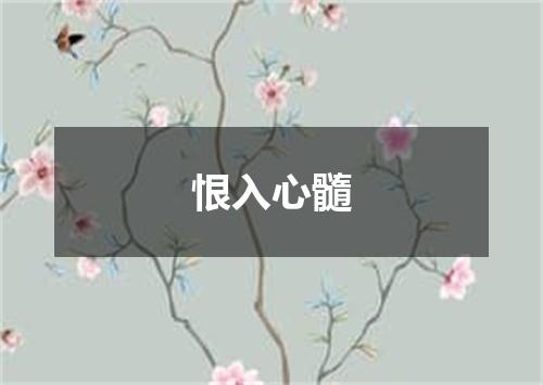 恨入心髓