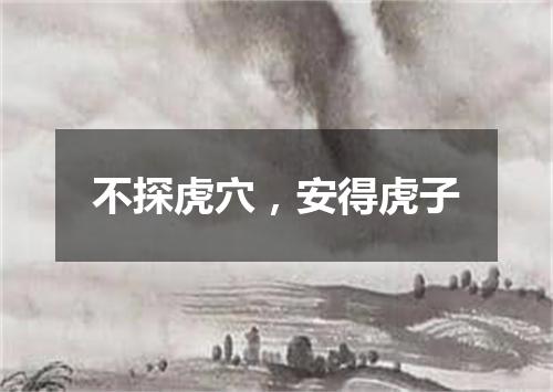 不探虎穴，安得虎子
