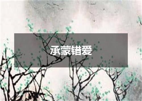 承蒙错爱