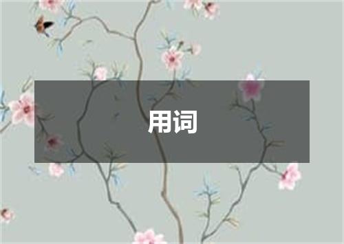 用词