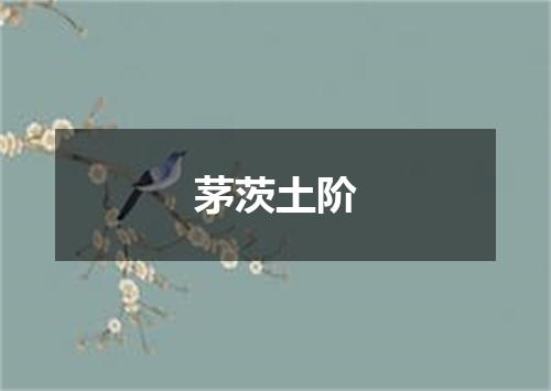 茅茨土阶
