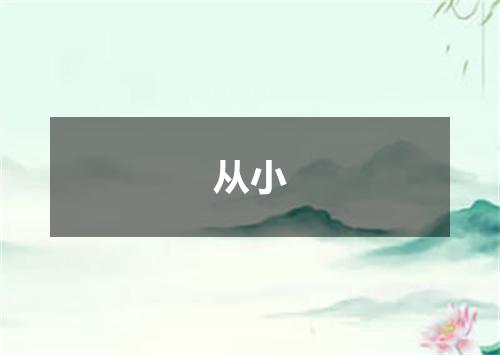 从小