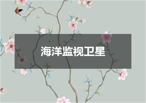 海洋监视卫星