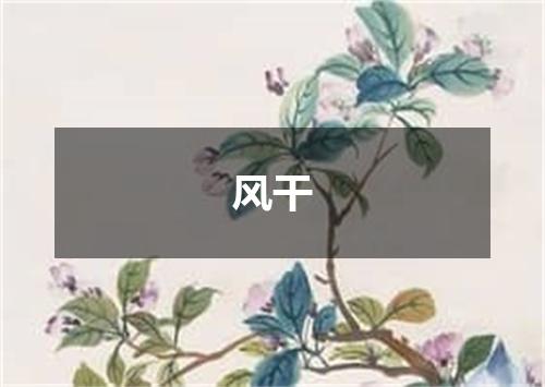 风干