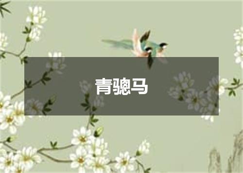 青骢马