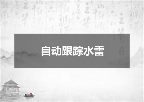 自动跟踪水雷