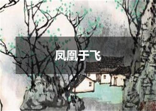 凤凰于飞