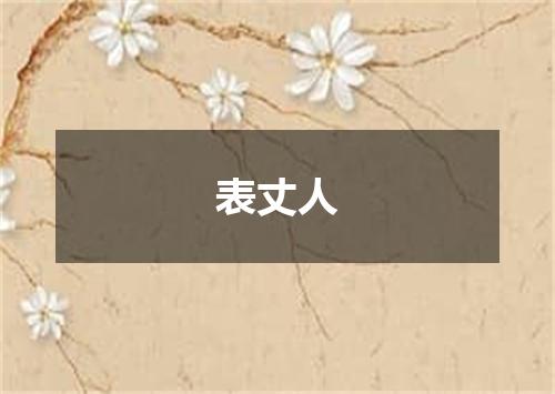 表丈人