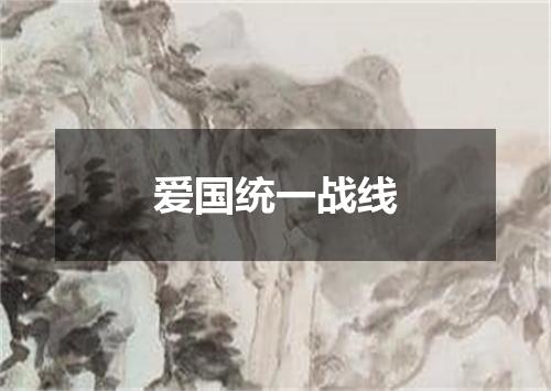 爱国统一战线