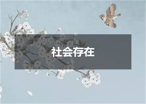 社会存在