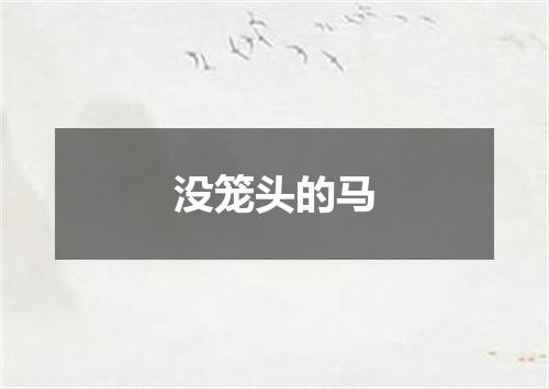 没笼头的马