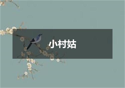 小村姑