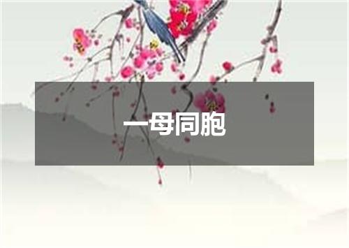 一母同胞