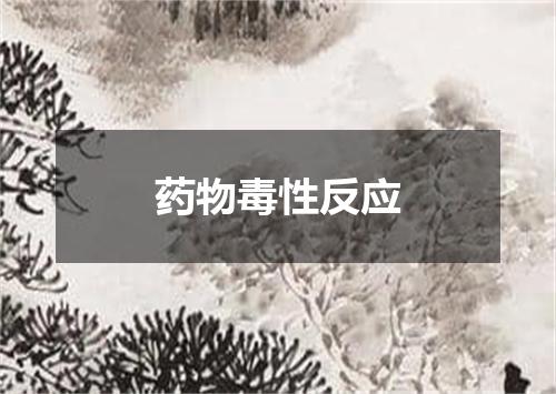 药物毒性反应