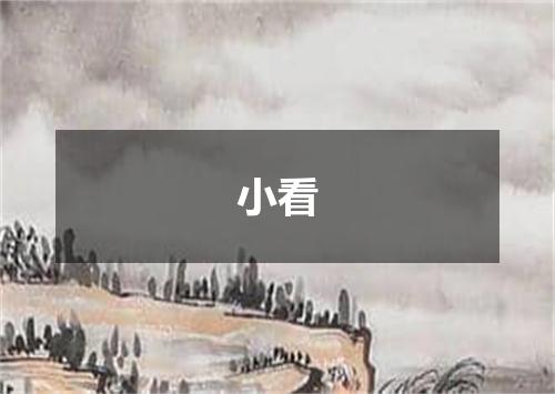 小看