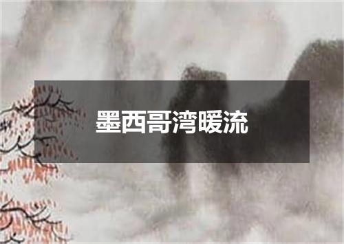 墨西哥湾暖流