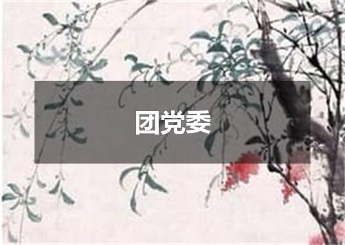 团党委