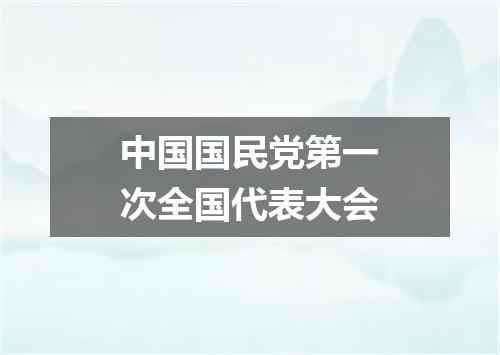中国国民党第一次全国代表大会