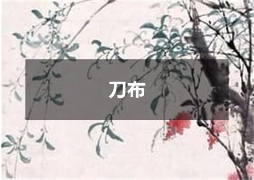 刀布
