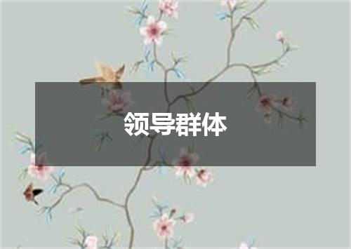 领导群体