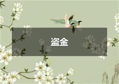 盗金