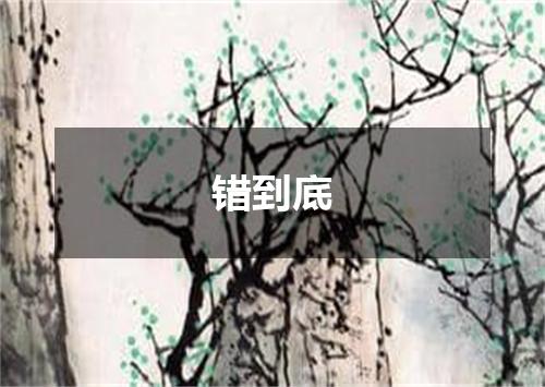 错到底