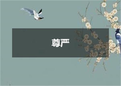 尊严