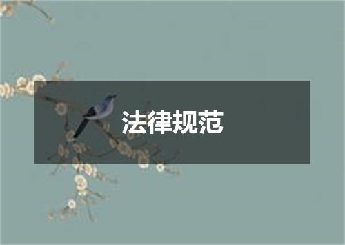 法律规范