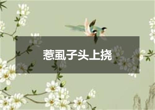 惹虱子头上挠