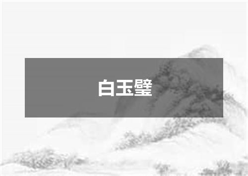 白玉璧