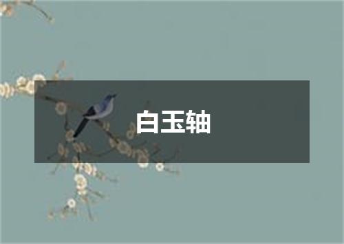 白玉轴