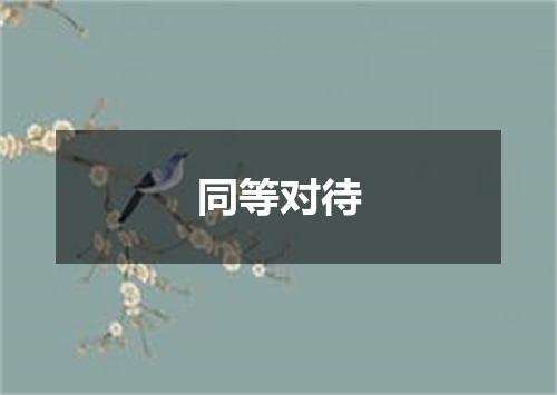 同等对待