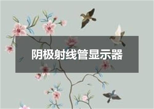 阴极射线管显示器