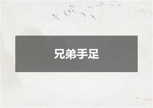 兄弟手足