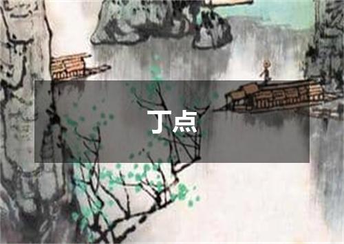 丁点