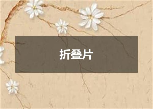 折叠片