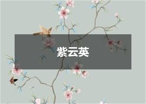 紫云英