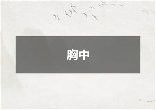 胸中