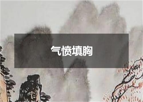 气愤填胸