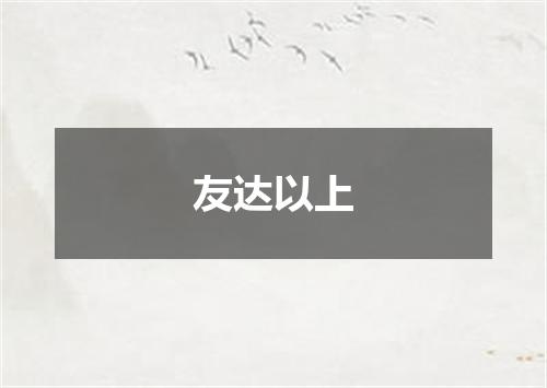 友达以上