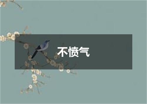 不愤气