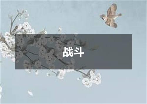 战斗