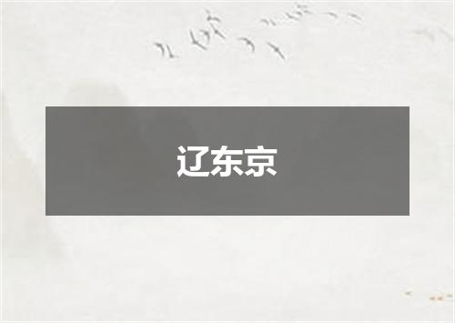 辽东京